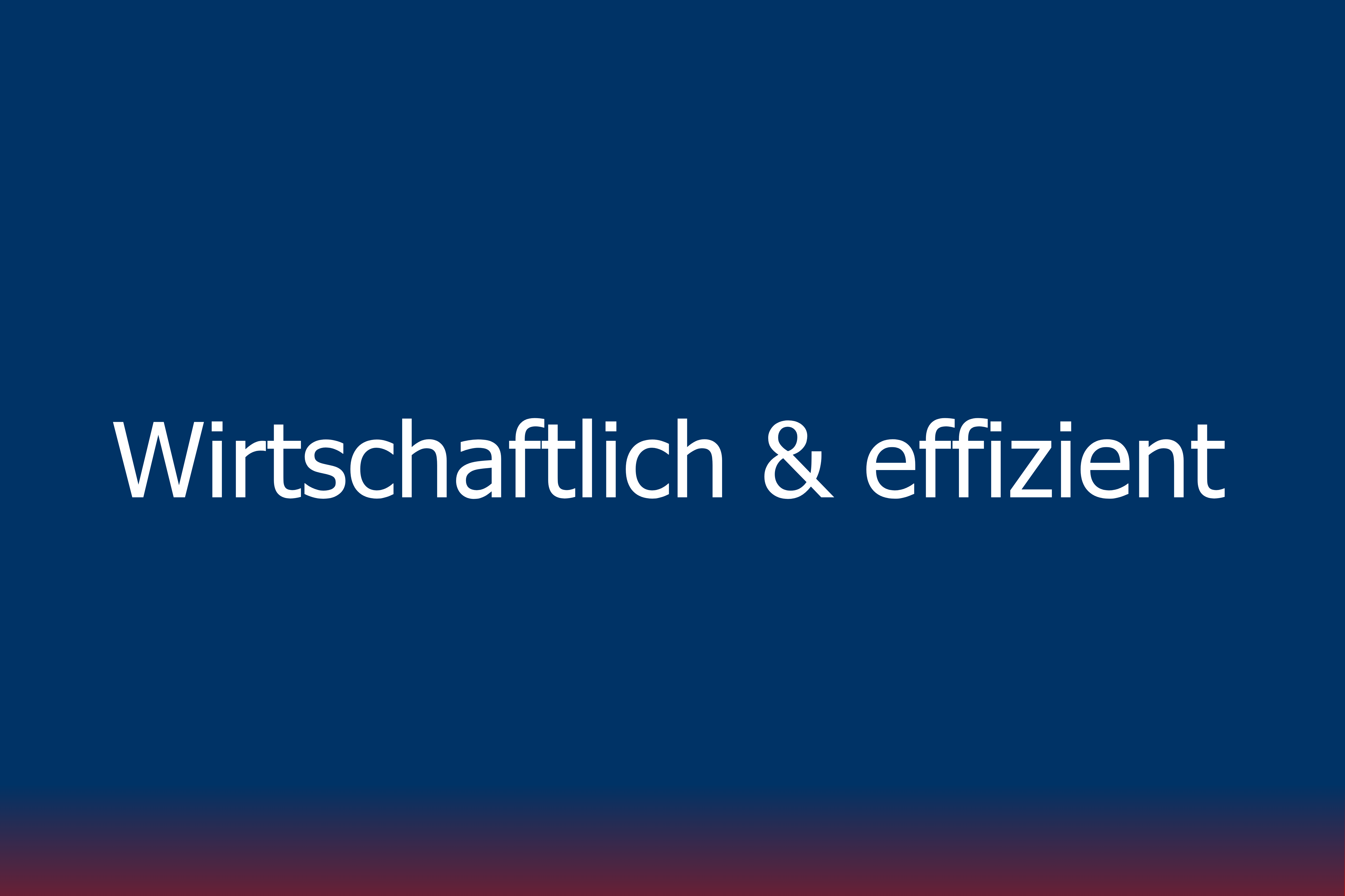 Wirtschaftlich & effizient